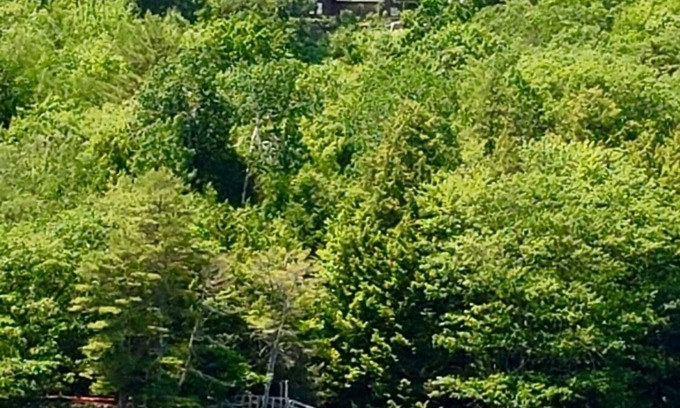 Wiscasset Casa | Large beautiful waterfront estate , very private in historic Wiscasset Maine