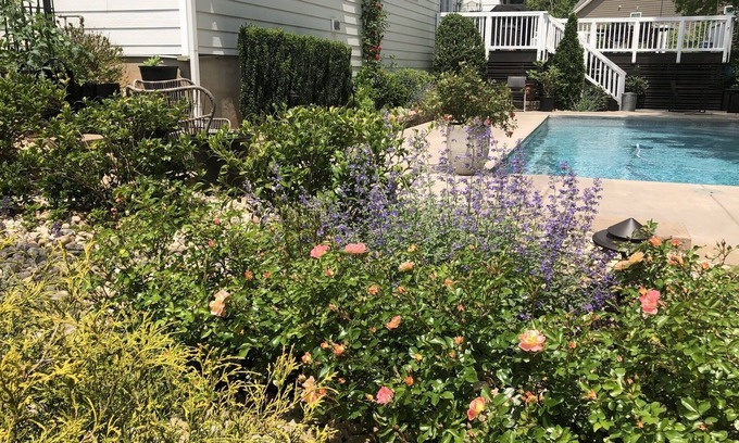 Wesley Chapel Casa | Large family friendly home with private pool