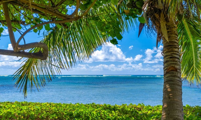 Eastern Honolulu Casa | Large Hawaiian Style Plantation property.