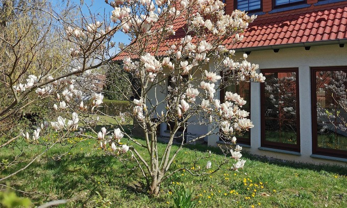 Neuenhagen bei Berlin Casa | Beautiful, large house with sauna, large garden and S-Bahn connection to Berlin