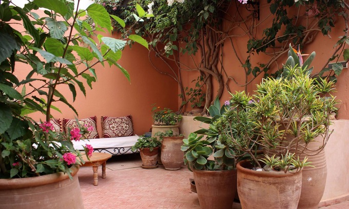 Mirleft Casa | Gran casa y hermoso jardín en el centro de Mirleft.