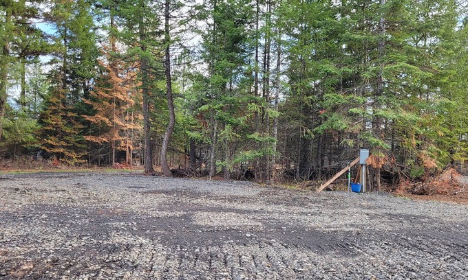 Harvard Alquiler De RV | Large RV site with full hookups, surrounded by trees and nature.