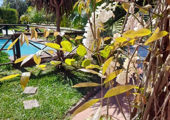 Concepción del Uruguay Casa | LAS CALAS