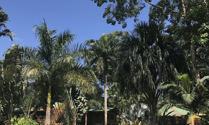 Cocles Villa | Las Casas Costa Rica un lodge privado en la selva caribeña