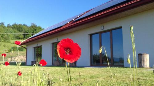 Laskowa Apartamento | Las Góra Natura