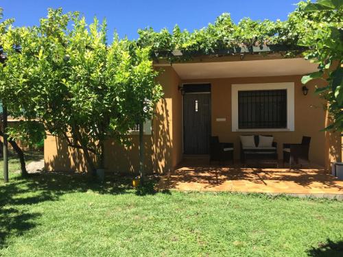 Candeleda Casa | Las Olivas