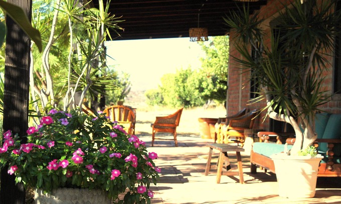 Valle de Guadalupe Cabina | Las Orquideas