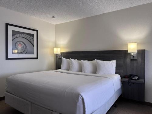 Tucson Hotel | Las Palmas Airport Inn