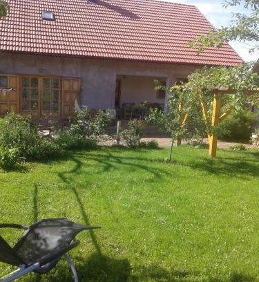 Municipality of Plaski Casa | Latin