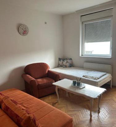 Grbavica Apartamento | Latinovic 36