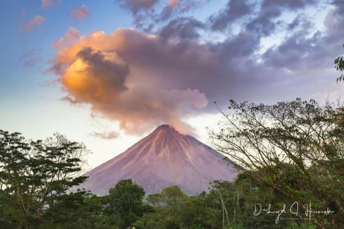La Fortuna Apartamento | Laughing Falcon Studio