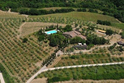 Castellina in Chianti Apartamento | Lauro