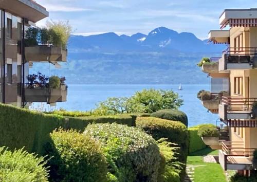Pully Apartamento | LAUSANNE PULLY modern and sunny apartment
