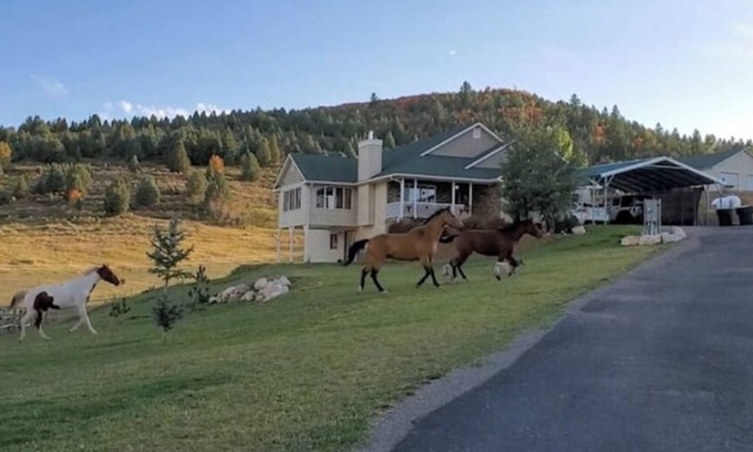 Lava Hot Springs Casa | Lava Hot Springs Country Stay