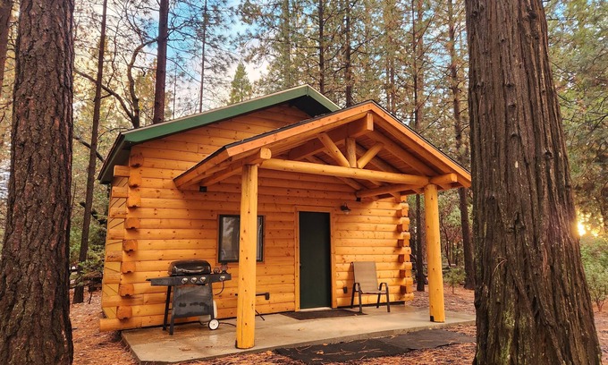 Forest Ranch Cabaña | Lavender Log Home Cottage