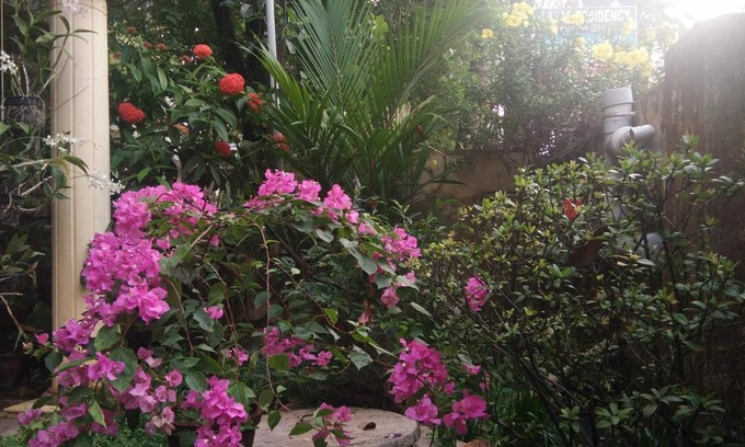Fort Kochi Cama Y Desayuno | Lazar Residency Homestay