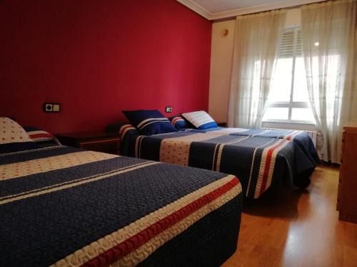 León Apartamento | León Arena