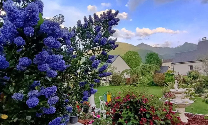 Adast Cama Y Desayuno | Le Balcon des Cimes