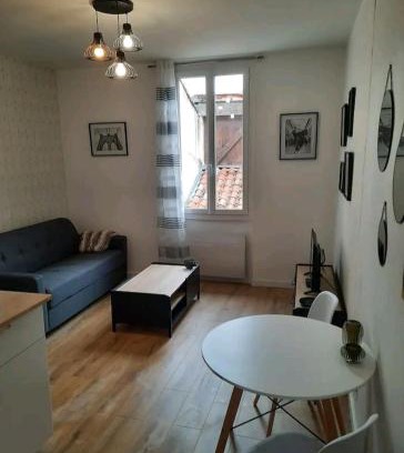 Le Busca Apartamento | Le Black and White cosy studio Toulouse centre