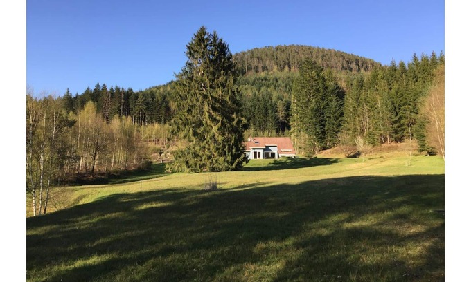Allarmont Chalet De Esquí | Le Chalet Bleu. On the edge of the forest. Sleeps 7.