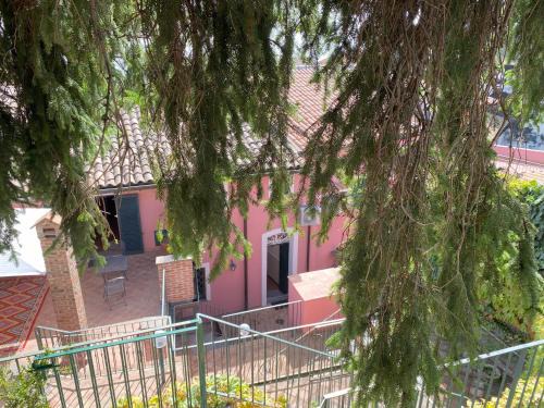 Milo Cama Y Desayuno | Le corti dell'Etna