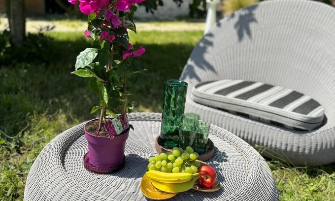Darvoy Cama Y Desayuno | Le domaine de Darvoy
