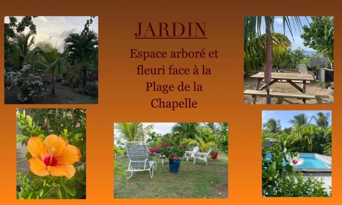 Anse-Bertrand Complejo | Le Domharry
