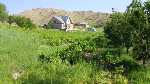 Samarkand Province Casa | Le Fortin
