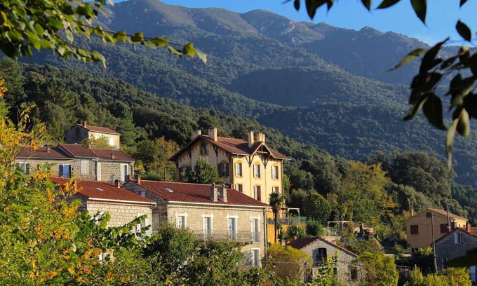 Olivese Casa | Le Gîte du Chalet Pietri
