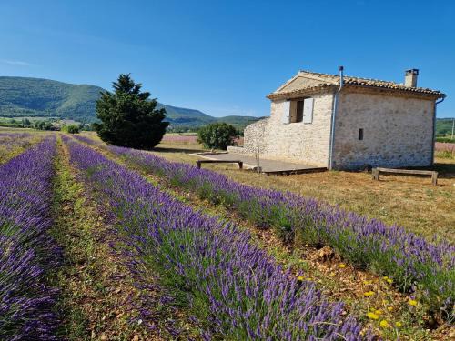 Sault Casa | Le grangeon des Hermas
