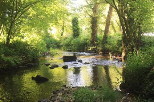 Mur-de-Bretagne Apartamento | Le Moulin du Guer
