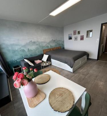 Trois-Epis Apartamento | Le Panorama - GÎTES MARCK