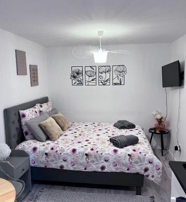 Kable Apartamento | Le Patcho Charmant studio Confortable & Chaleureux , idéalement situé proche centre ville Quartier Neustadt Tribunal, Contades