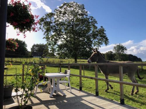Beaubec-la-Rosiere Casa | Le Petit Gite O Pré