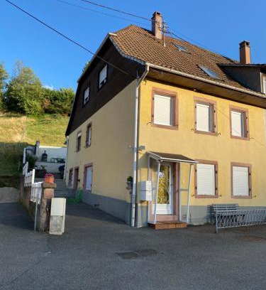 Sainte-Marie-aux-Mines Apartamento | Le petit St Blaise