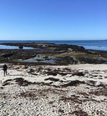 Concarneau Casa | Le Récif, maison indépendante Corniche de la mer