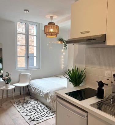 Toulouse City-Centre Apartamento | Le Saphir