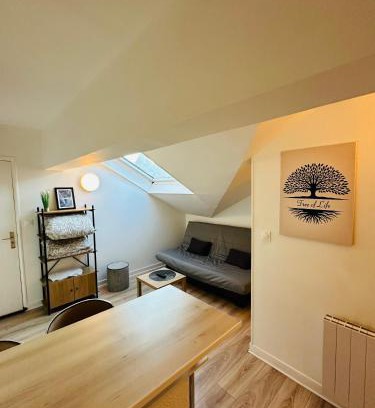 Charleville-Mezieres Apartamento | Le studio du moulin