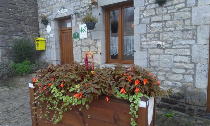Mazee Casa | Le ternia