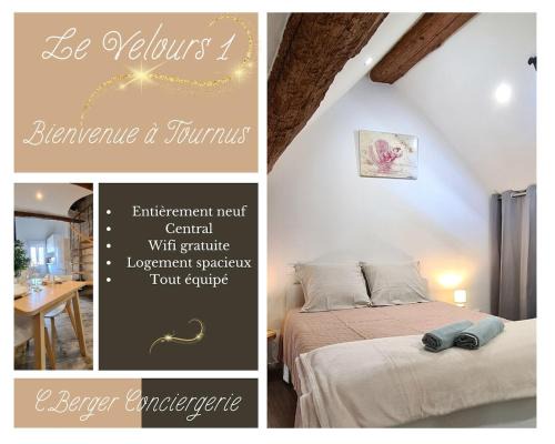 Tournus Apartamento | Le Velours 1-Spacieux, Central, Entièrement neuf