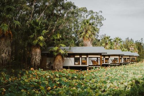 Lovedale Villa | Leaves & Fishes - Private group escape in the Hunter Valley