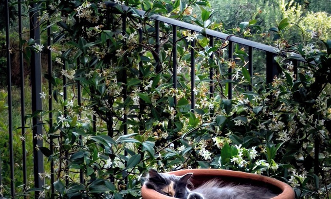 Todi Casa | Lemon Tree Boutique Guesthouse