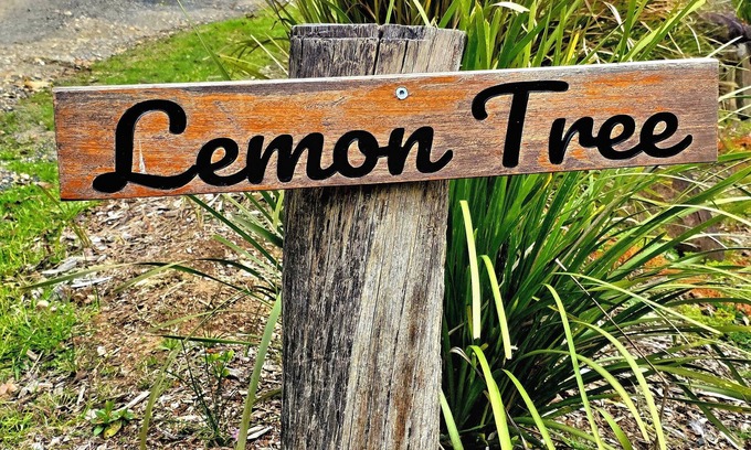 Brooman Cabaña | Lemon Tree Cottage - The epitome of relaxation: your own cabin in the woods.