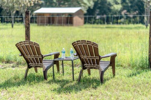 Ocala Casa | Lemonade Acres, Where Horses Stay for Free!