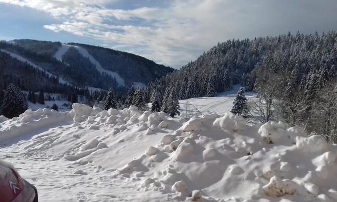 La Bresse Apartamento | Les feignes cerfdoré