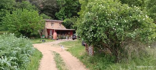 Le Thoronet Casa | Les Jardins de Castelange