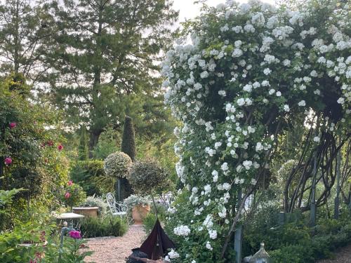 Huismes Cama Y Desayuno | Les Jardins Haute Couture