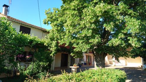 Arles Casa | Les prairies Mas Roux