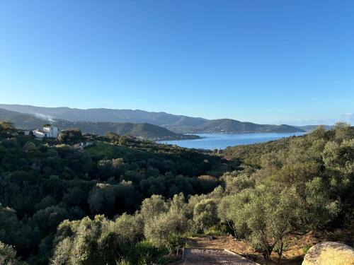 Pietrosella Villa | Les Terrasses de Ruppione - Villa Scandola