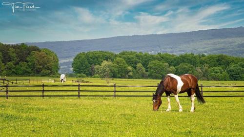 Portage Casa | Letchworth Farm Guesthouses